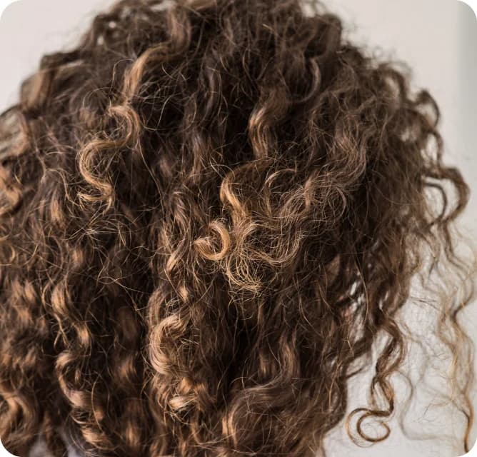 Hair_style_at_Mitchell